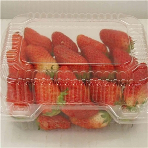 食(shí)品吸塑(sù)包裝應(ying)用